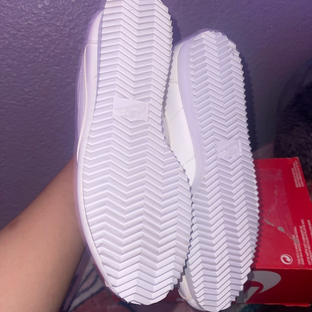 clsssic cortez